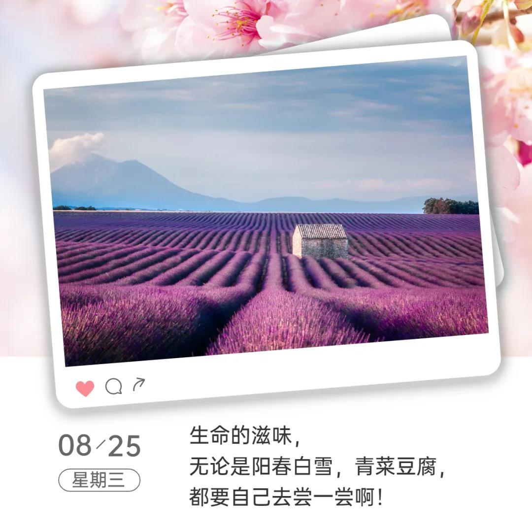 1630433124139003611.jpg 微信图片_20210901015853.jpg